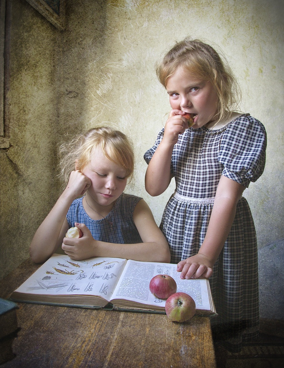 mozlase-kids-894787_1280