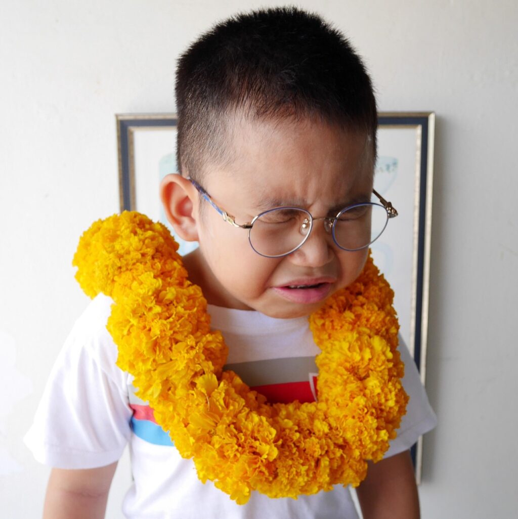 nongnapas-marigold-2260427_1280